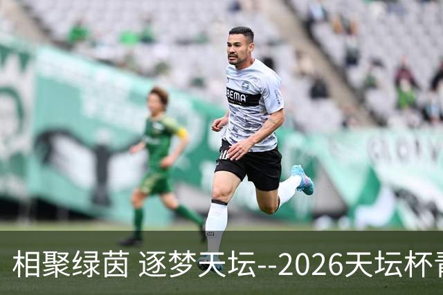 相聚绿茵 逐梦天坛--2026天坛杯青少年足球交流火热开启